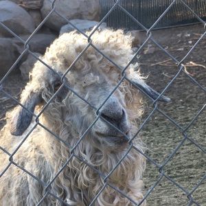 Meet your Posher, Marie